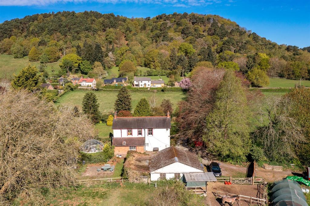 DJI 0511.jpg