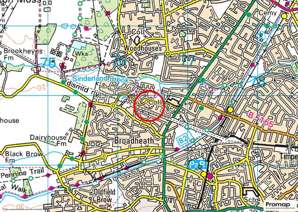 Town Plan
