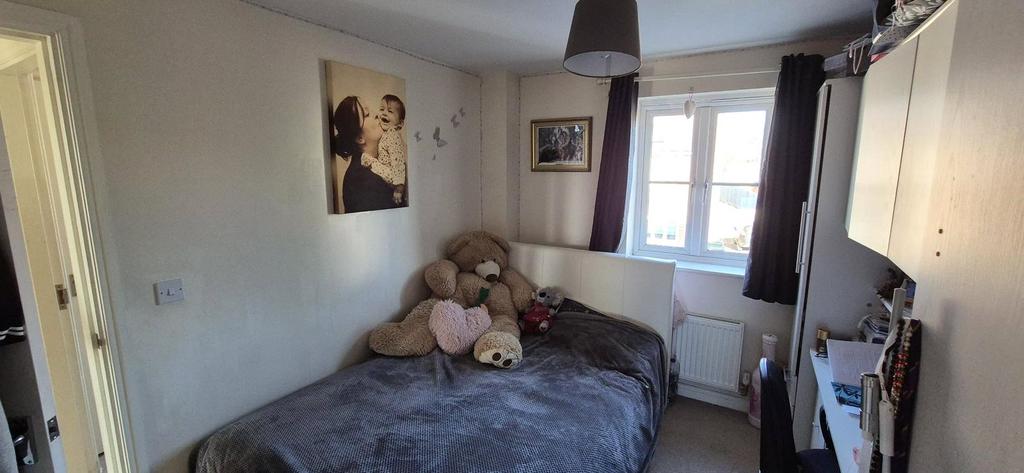 Picture 8