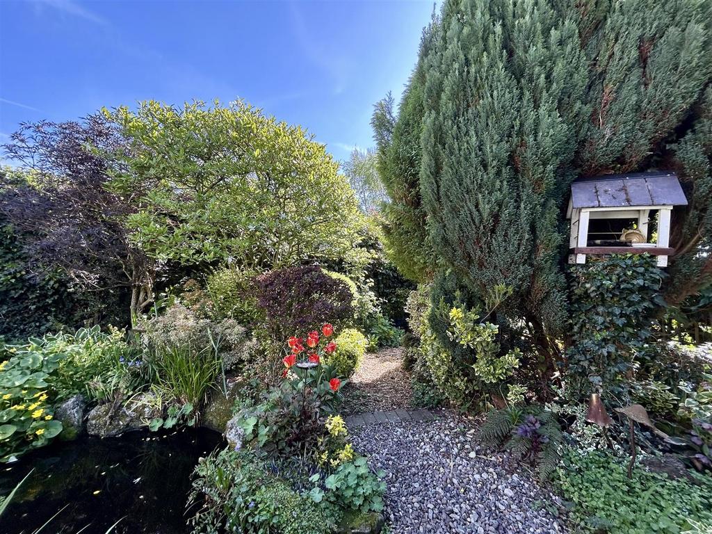 IMG 7321.jpeg