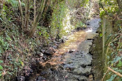 undefined, Horrabridge, Yelverton