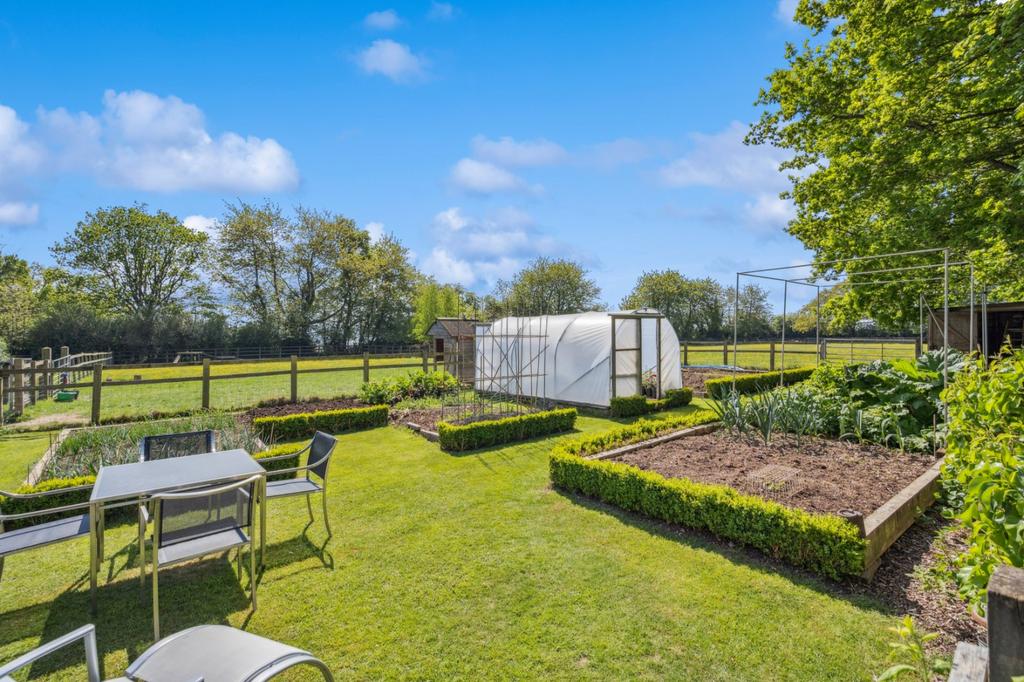 Vegetable Garden