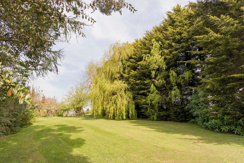 Side Lawn
