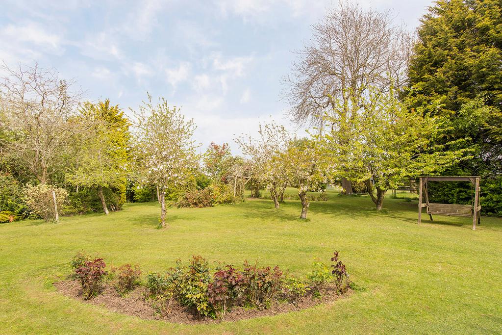 Side Lawn