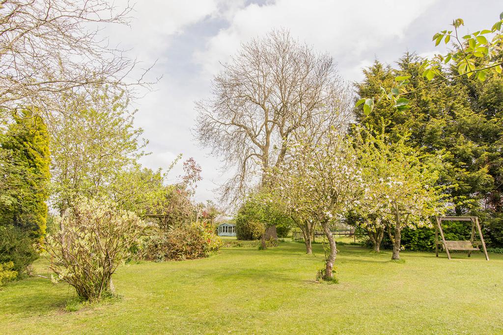 Side Lawn