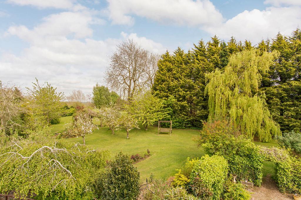 Side Lawn
