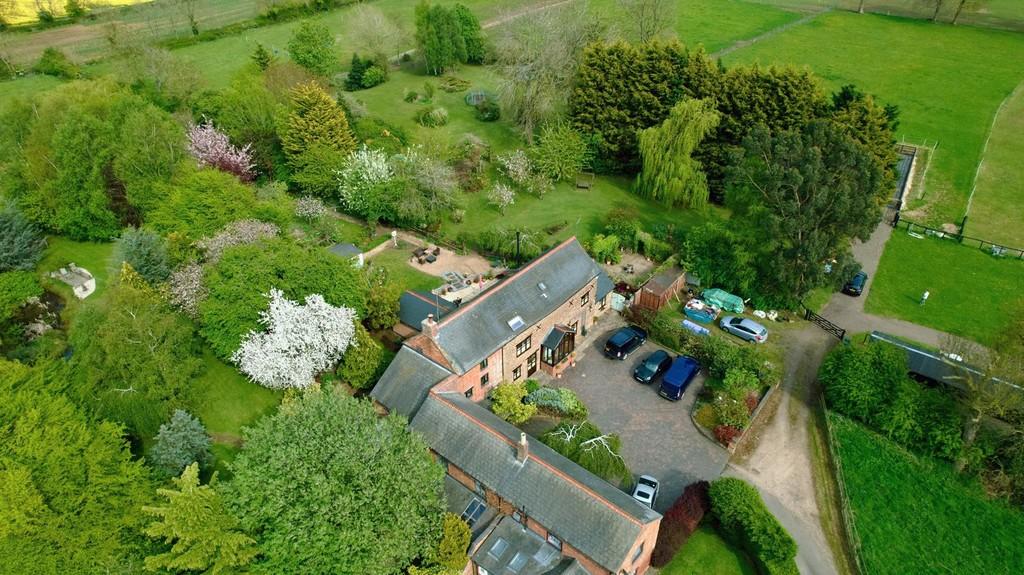 Drone Shot