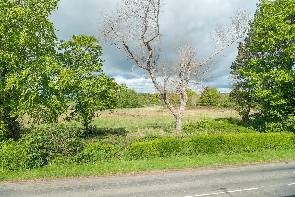 Window Views-1