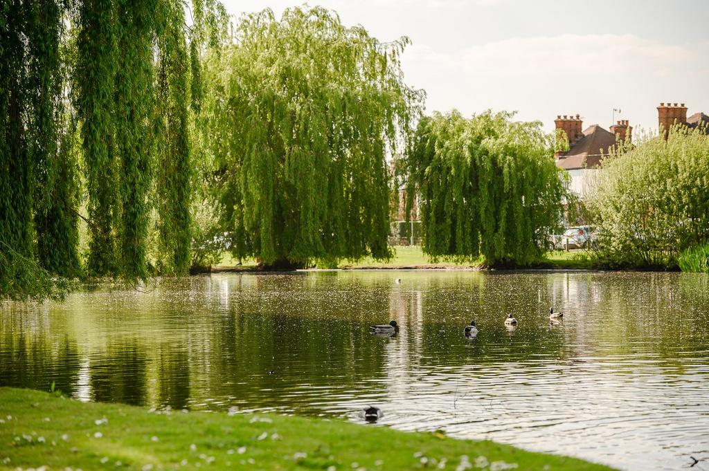 West End Common