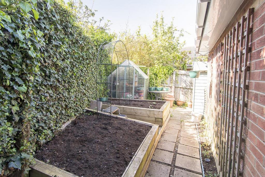 Vegetable Plot
