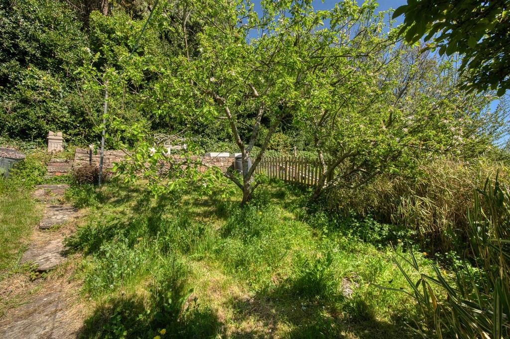 Rear Garden - apple trees.jpg