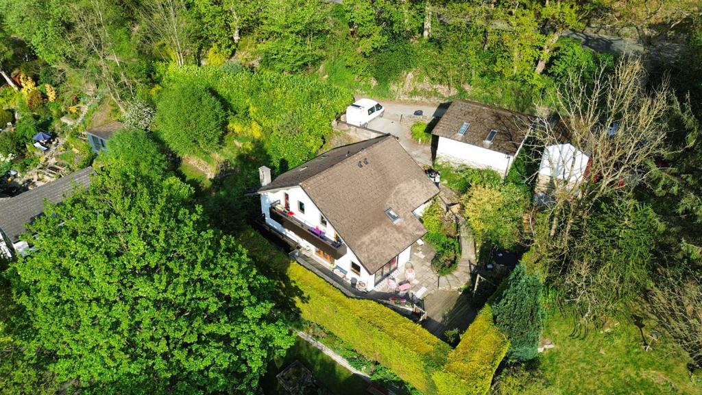 Ariel View