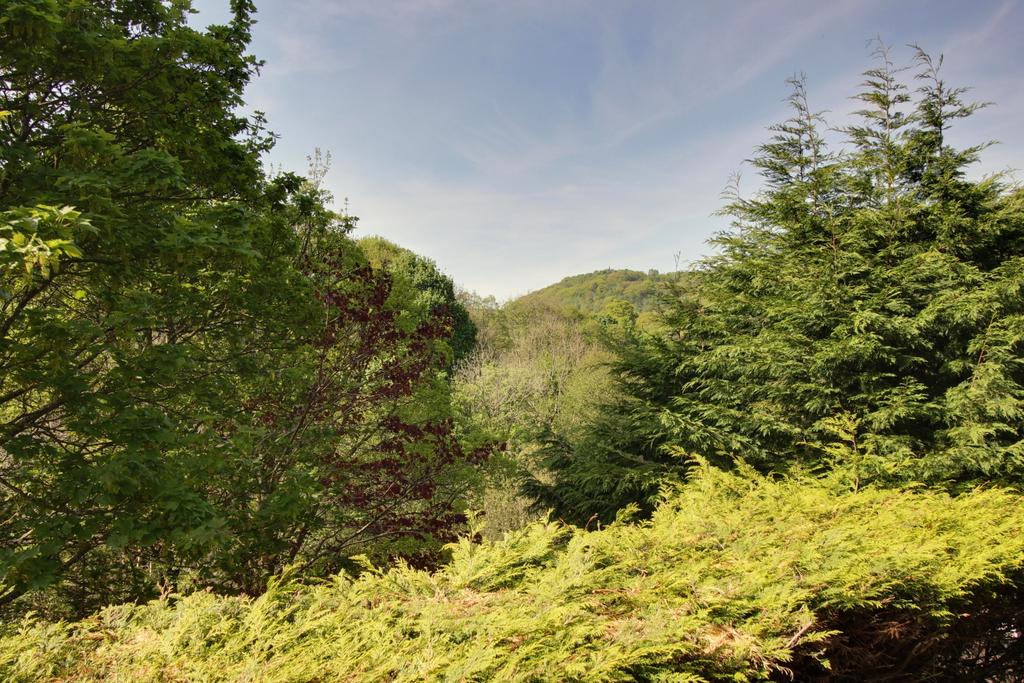 View from Dining Room
