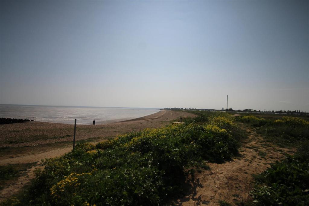 Img 0322.jpg