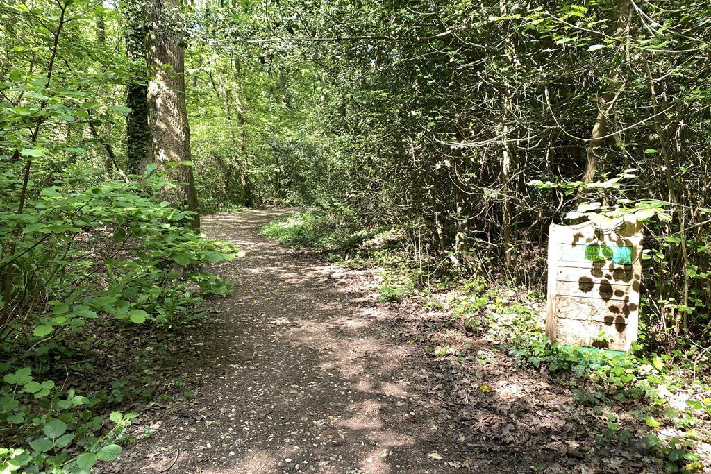 Bugdens Copse