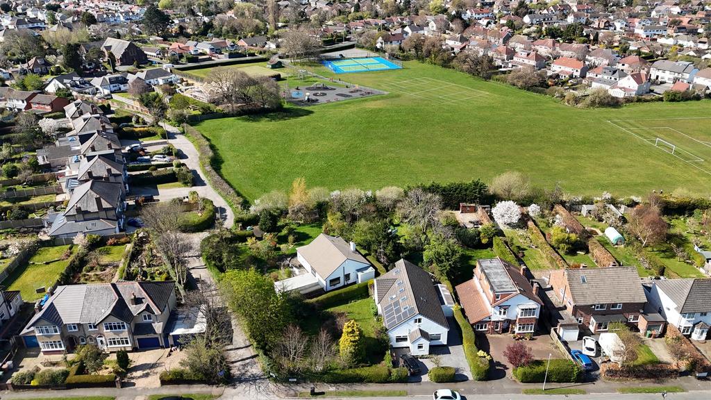 Dji 20250402124159 0746 d.jpg