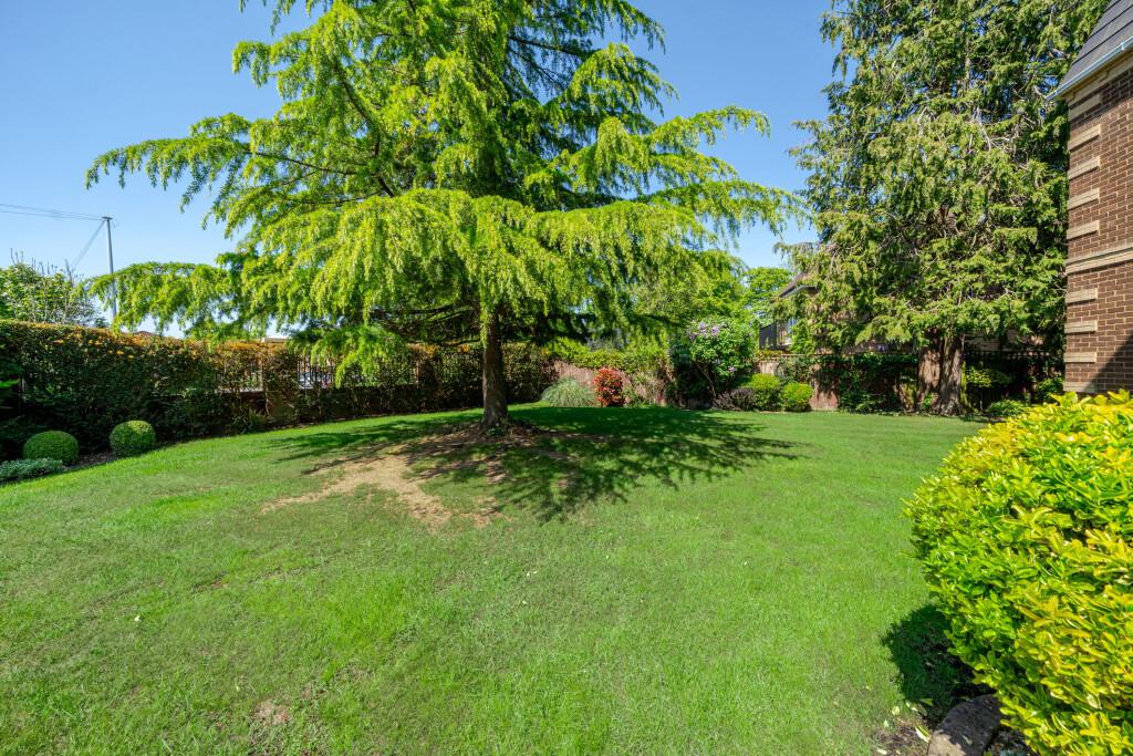 Grounds