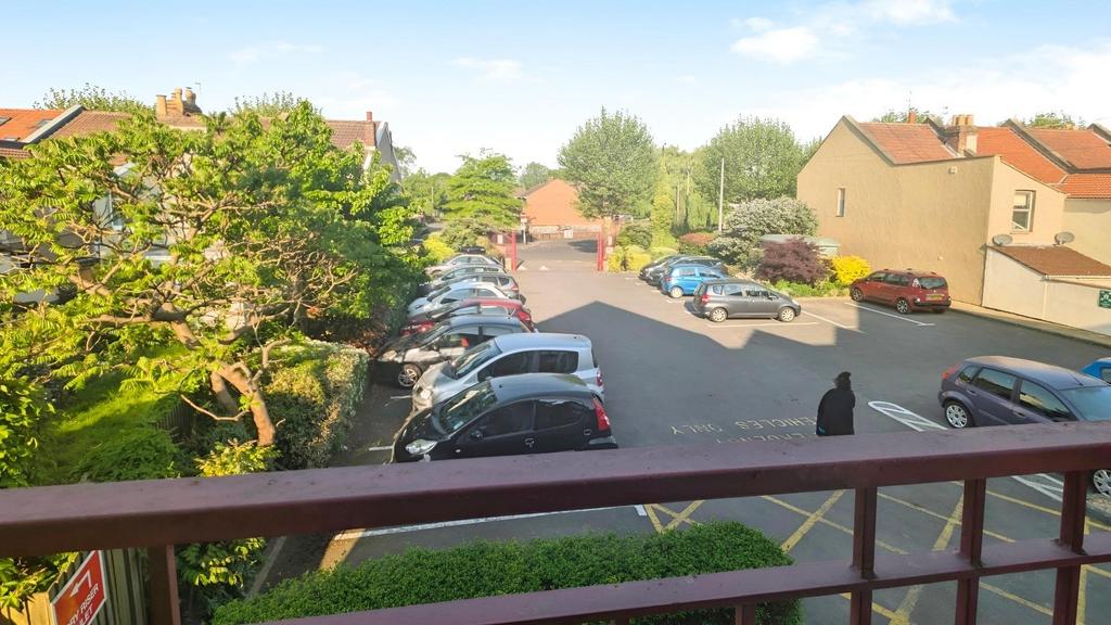 6bd1d7d3-PXL 20250501 072802643.jpg