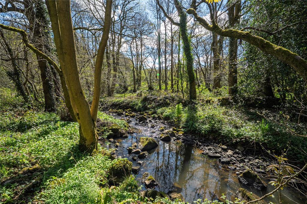 Woodland