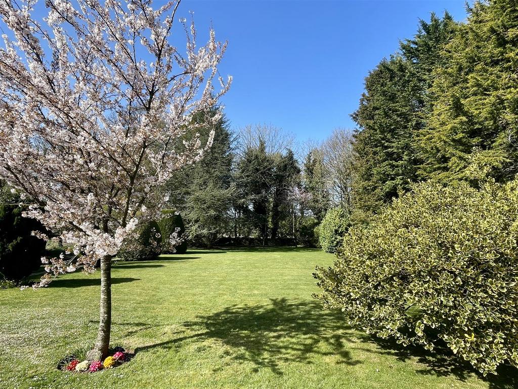 Front garden.JPEG