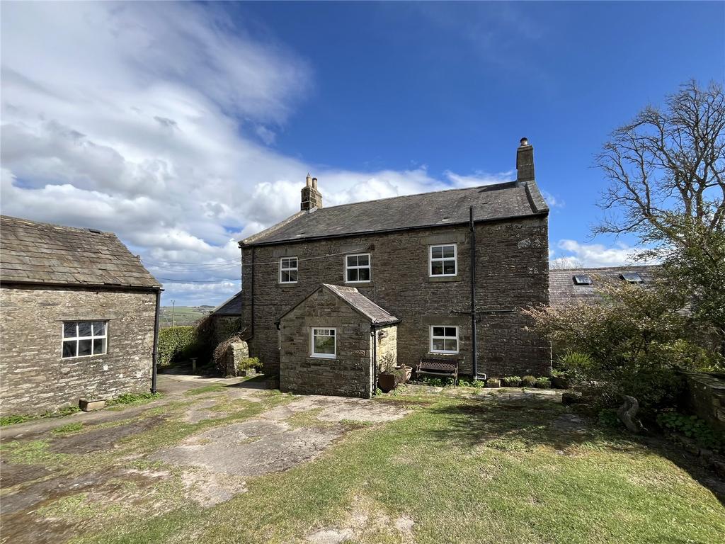 Picture No. 06