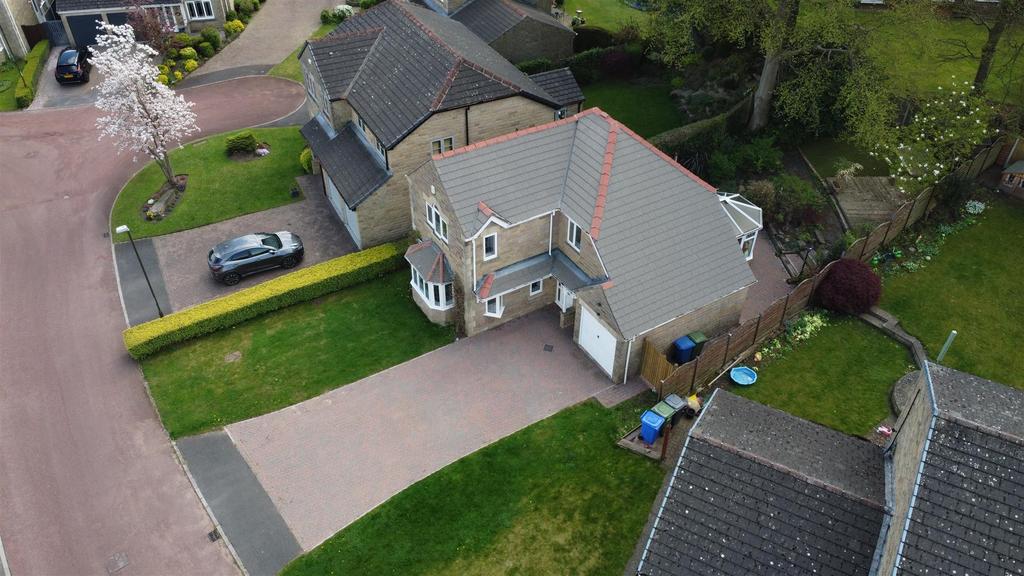 Dji 0082.jpg
