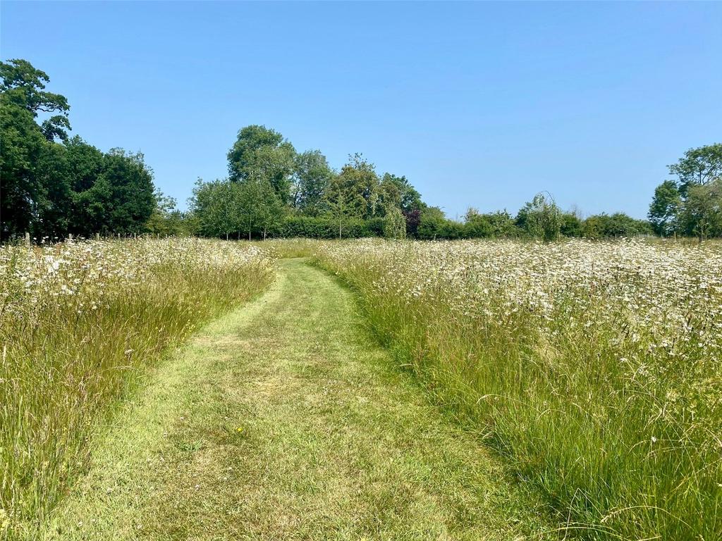 Meadow Paddock
