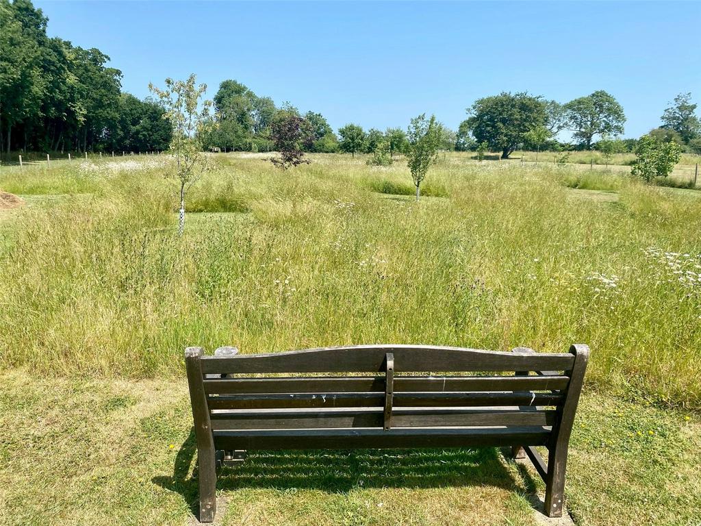 Meadow