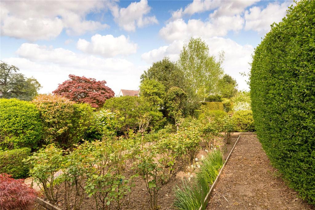 Rose Garden