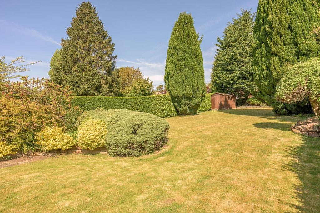 Rear Garden 2