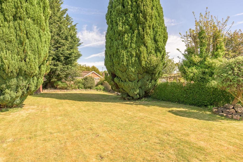Rear Garden 3