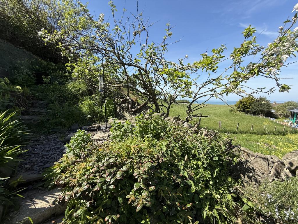 Elevated Garden Area