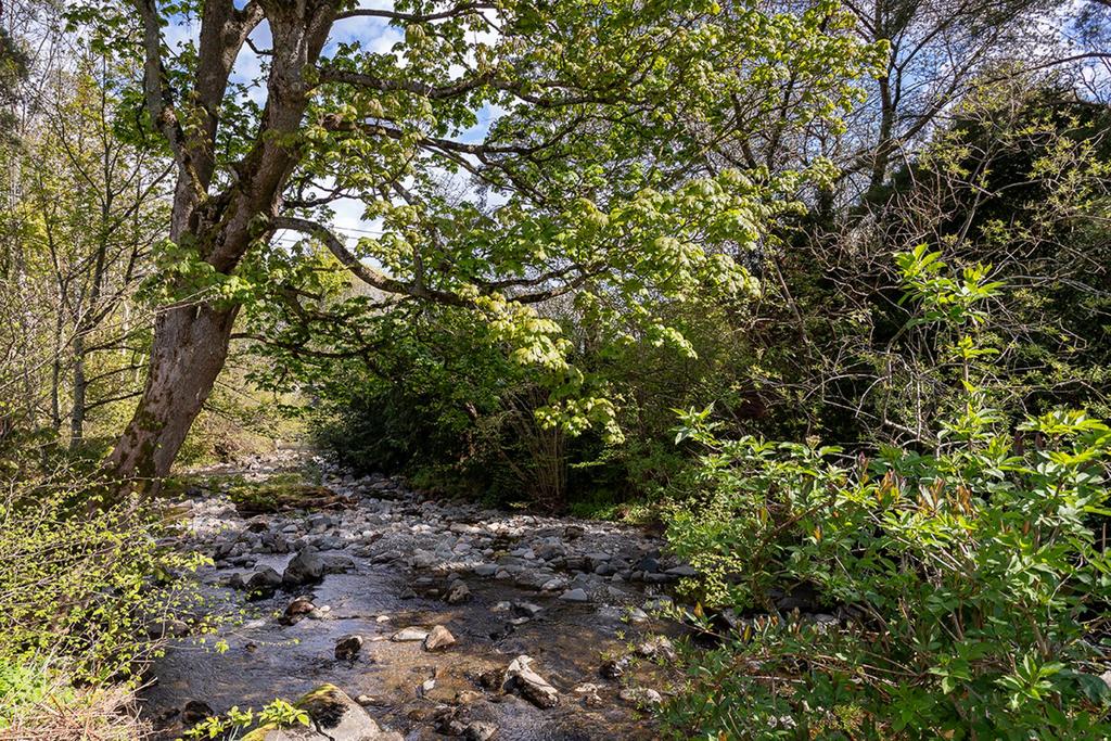 MFL0241170 858.jpg