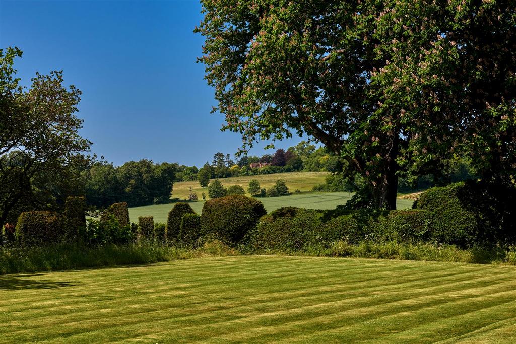 View from Garden