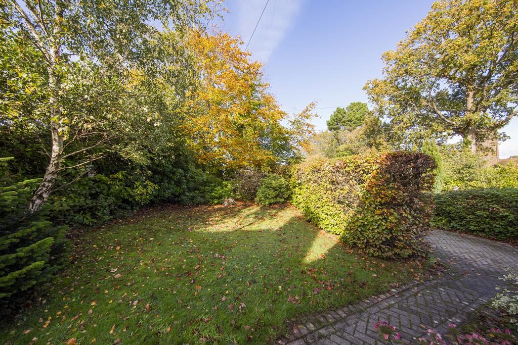 NEW Front Garden