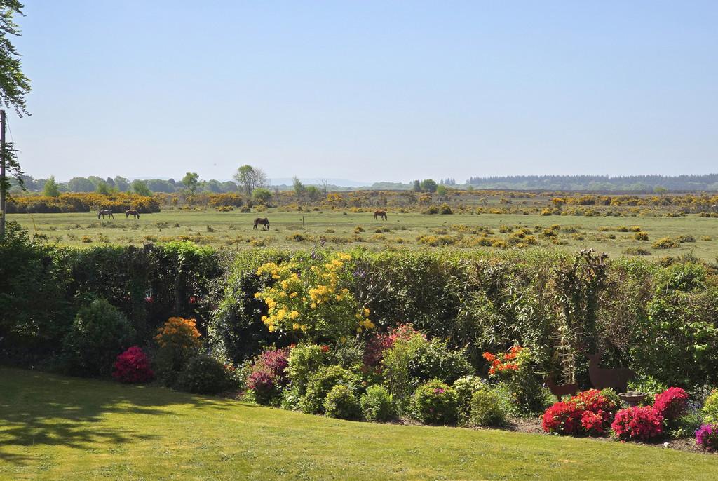 UTR Forest View
