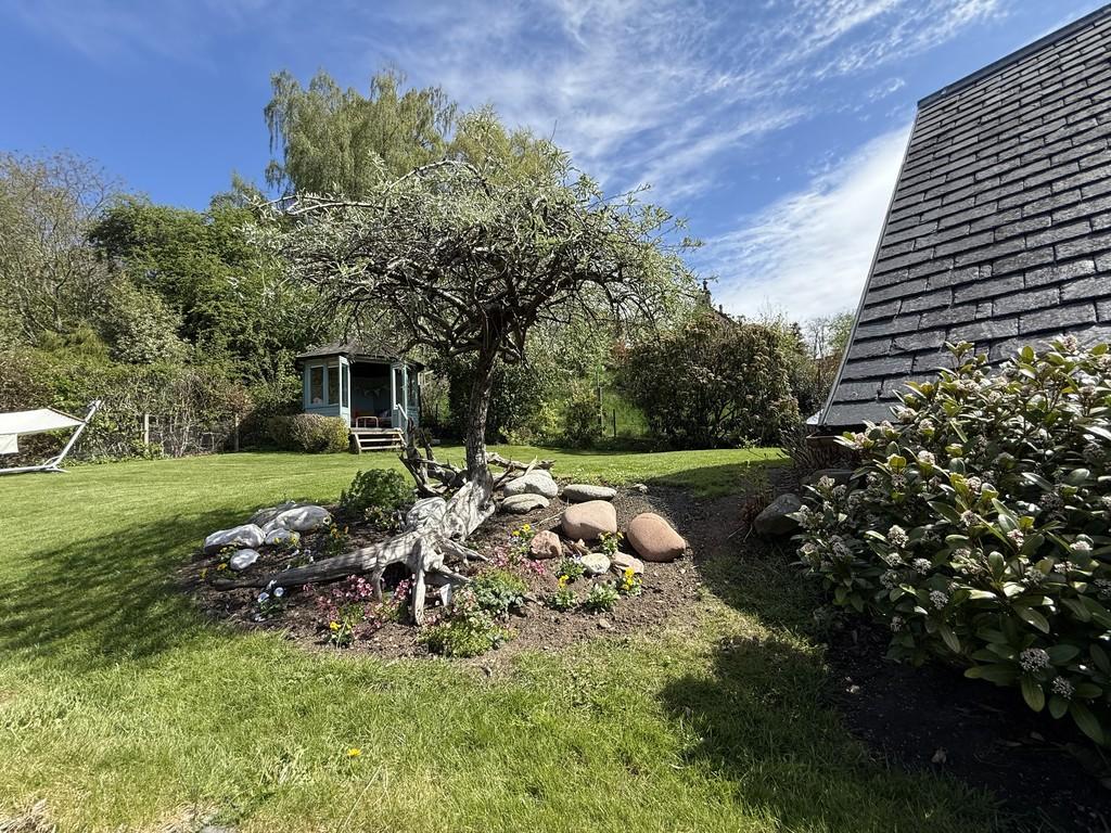 Garden 7