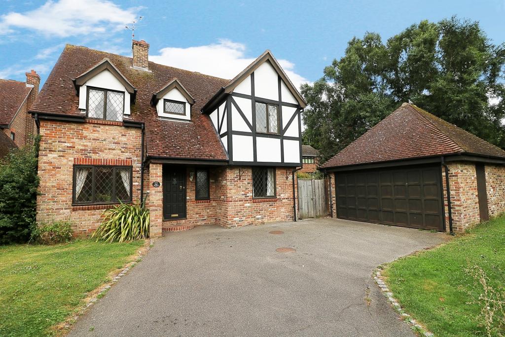 Front & Driveway