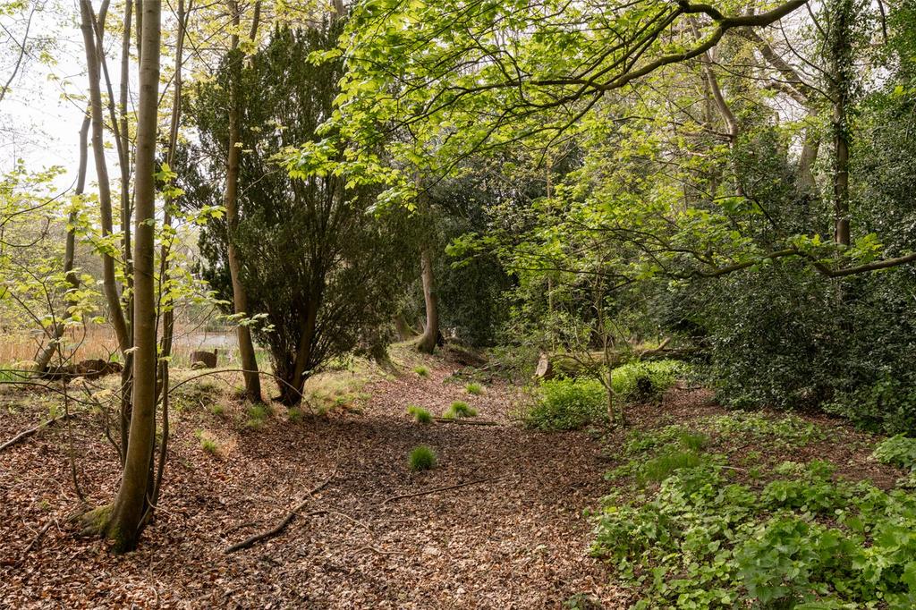 Grounds