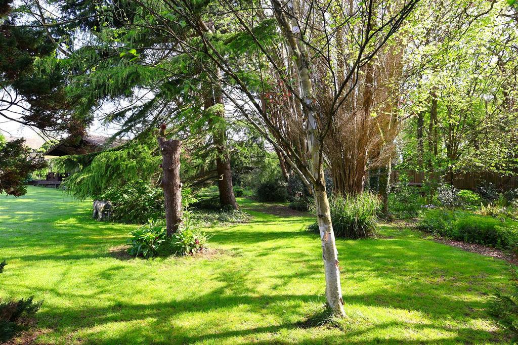 Woodland