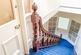 Additional image 8 of Cold Bath Road, Harrogate, HG2