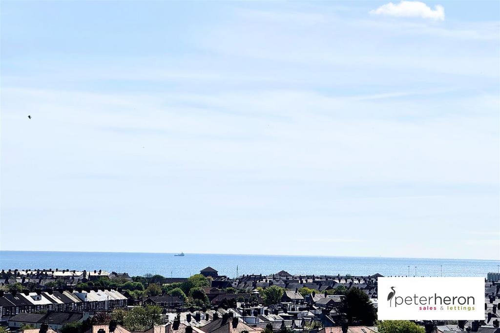 City Skyline Views