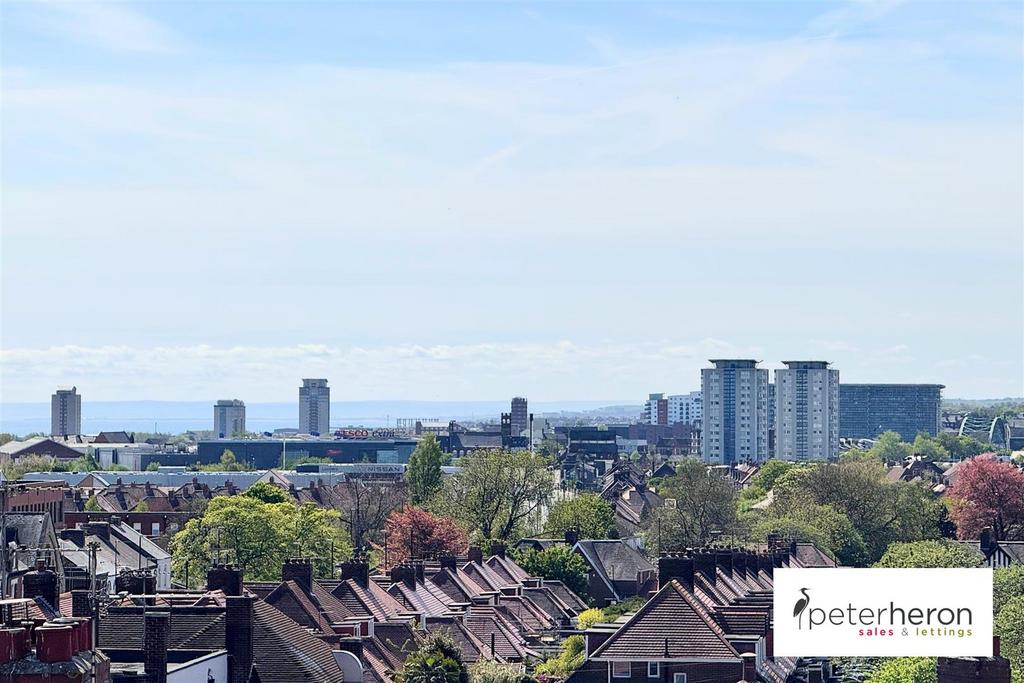 City Skyline Views