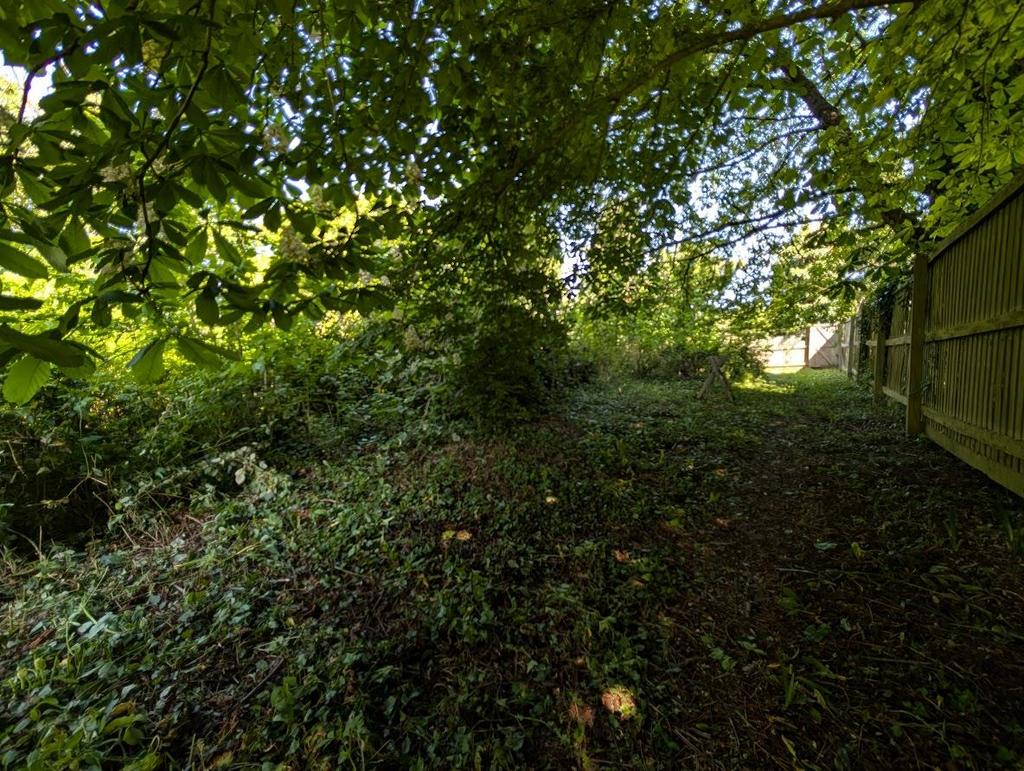 PXL 20250430 101404937.jpg