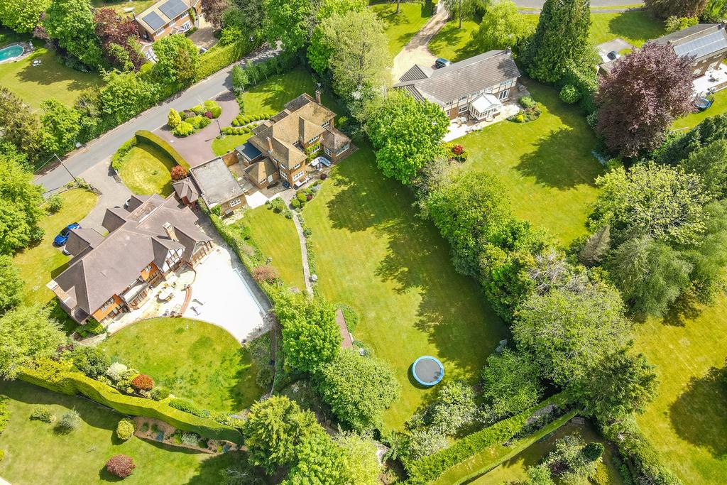 Aerial Plot View
