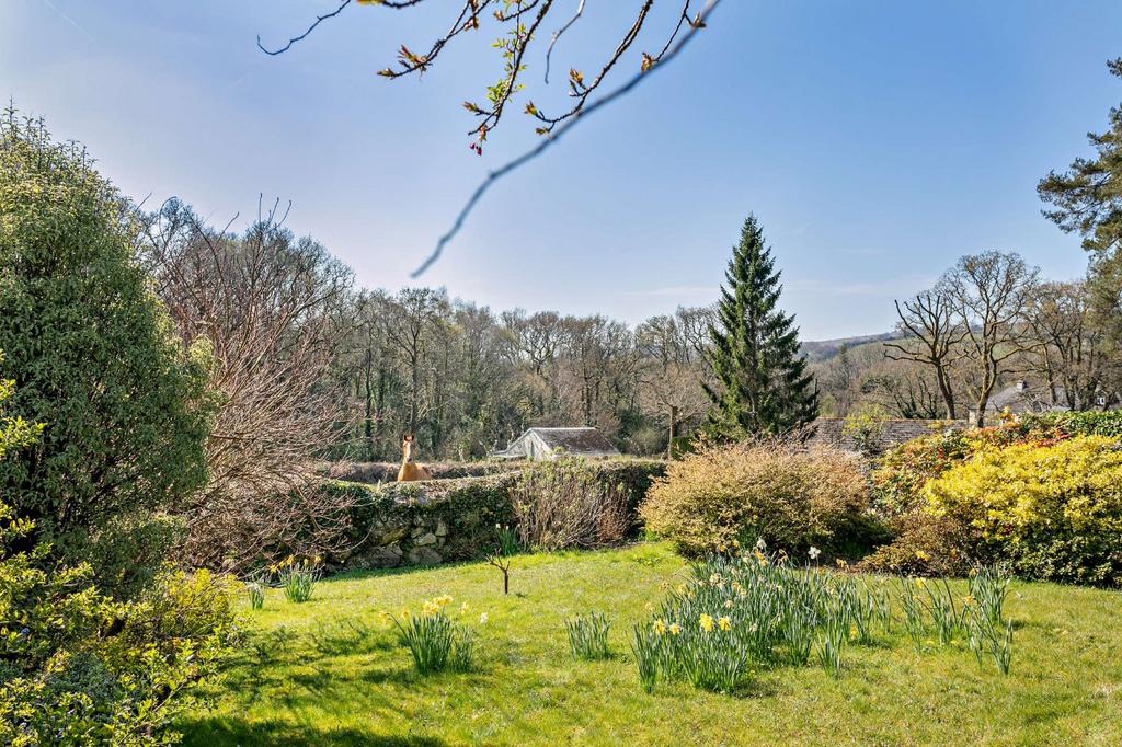 Garden/Views