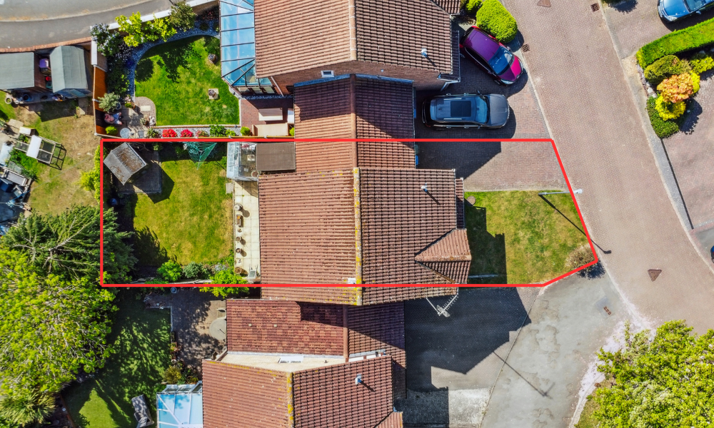 Plot View