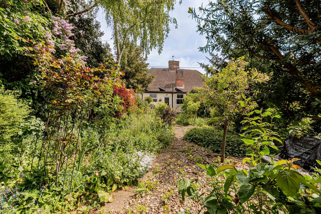 Rear Garden (2)