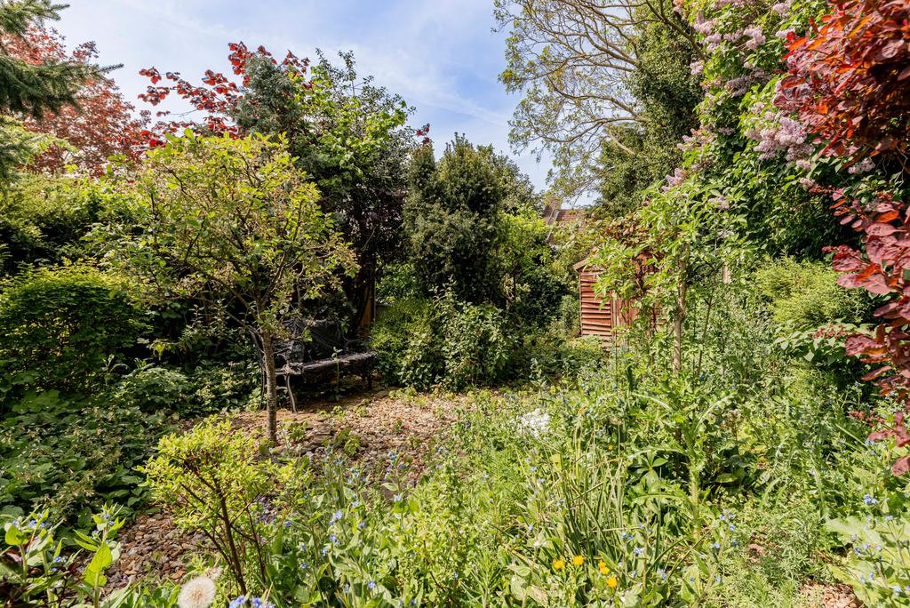 Rear Garden (3)