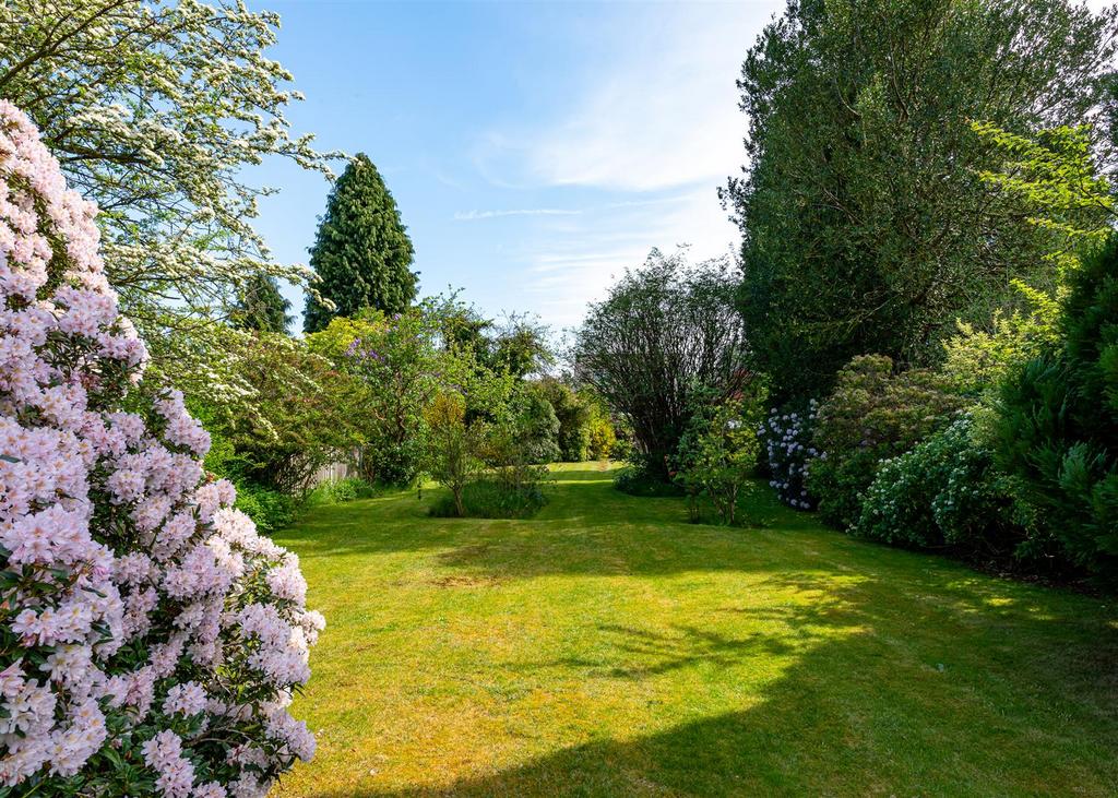 43 Woodthorne Road-garden3.jpg